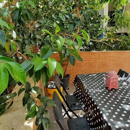 Sunny Terrace Apt, Close To Downtown! 2 Bedroom Flat Apartment